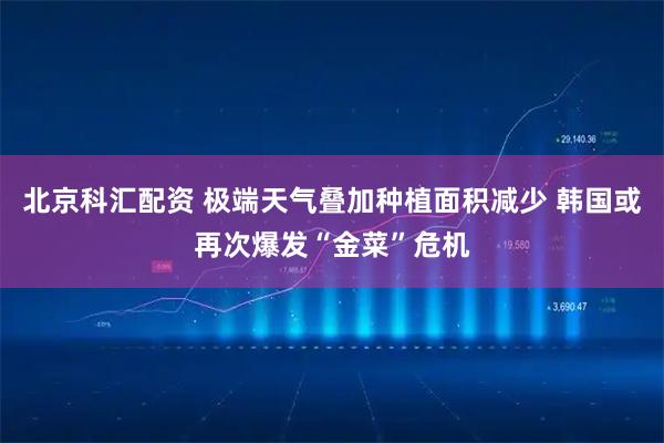 北京科汇配资 极端天气叠加种植面积减少 韩国或再次爆发“金菜”危机