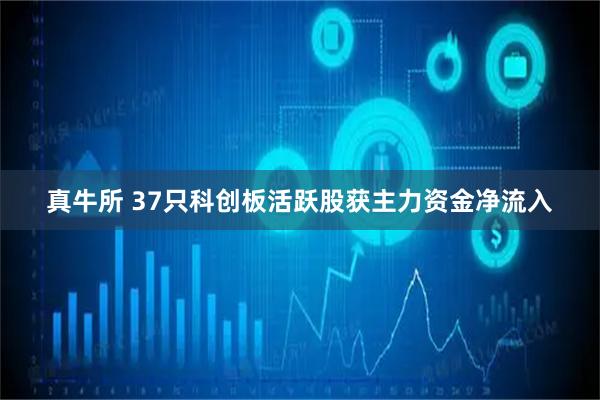 真牛所 37只科创板活跃股获主力资金净流入